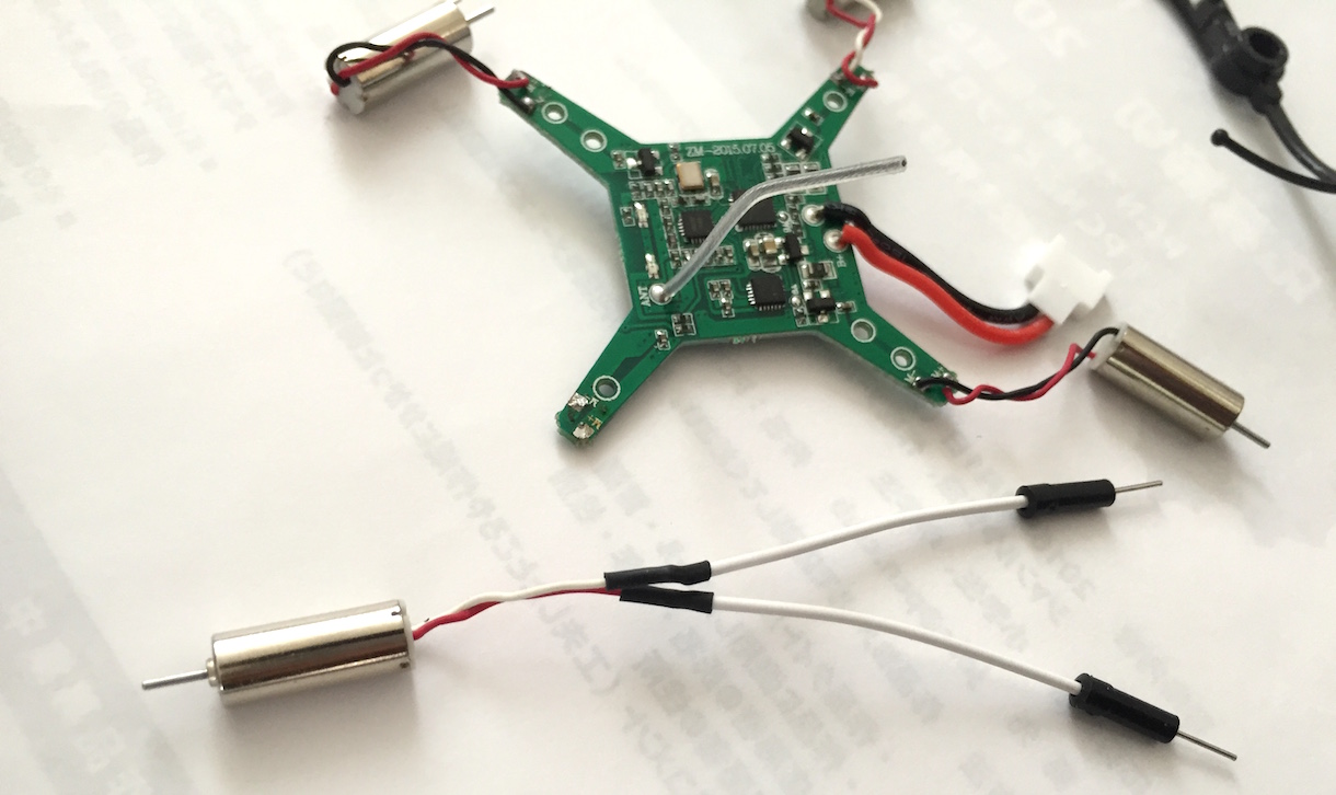 紫の葉を持つクリスマスサボテン:その理由と対処法 - 直射日光にさらされる