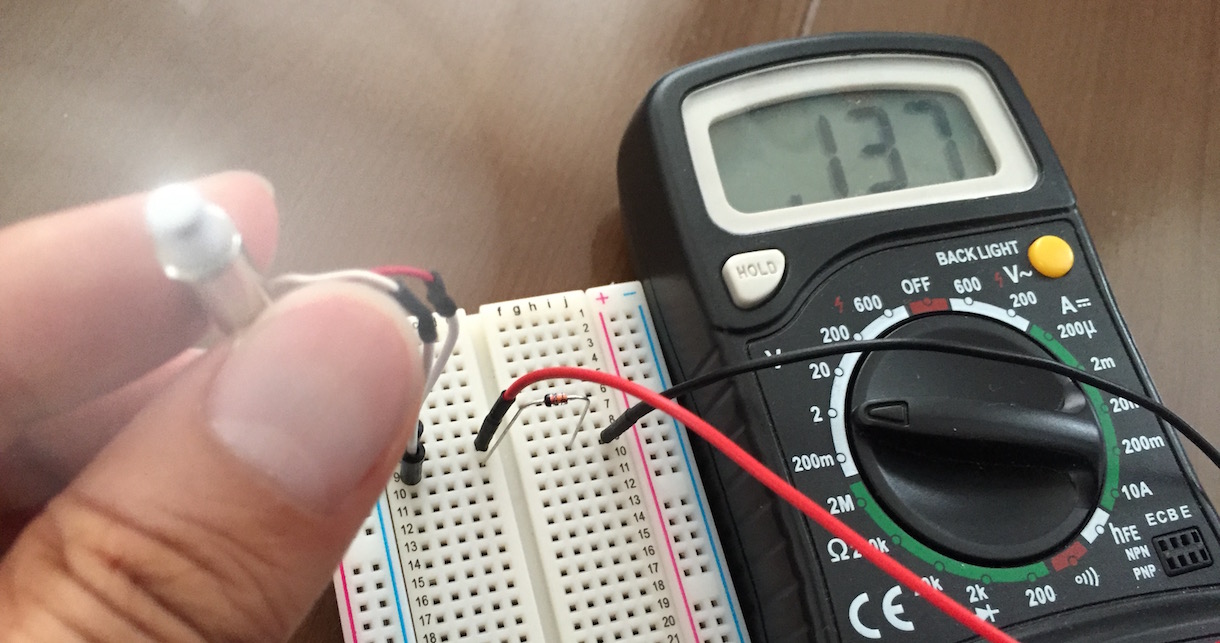 紫色の葉を持つクリスマスサボテン:その理由と対処法 - 極端な温度変化