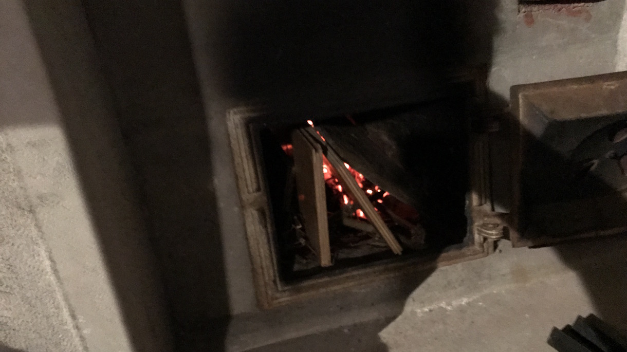 木を植えるためのヒント - 木を植える手順