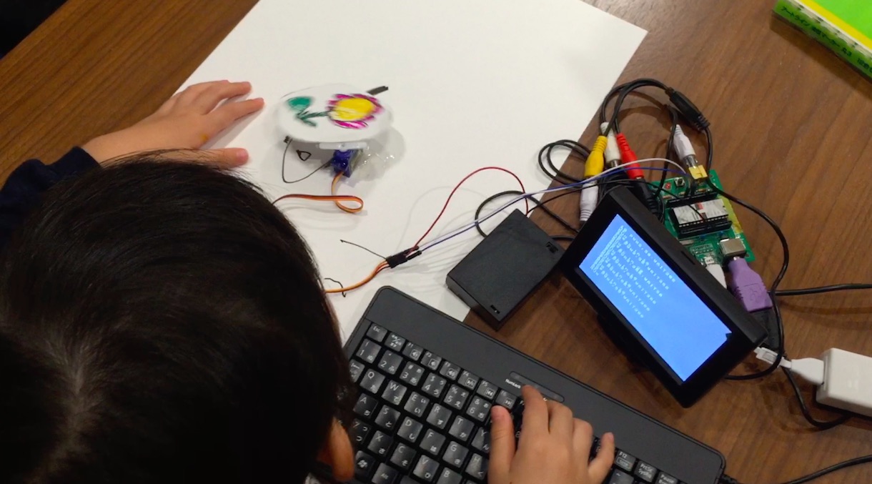 ペンギンの不思議 - 最大のペンギンは寒い地域に住んでいます