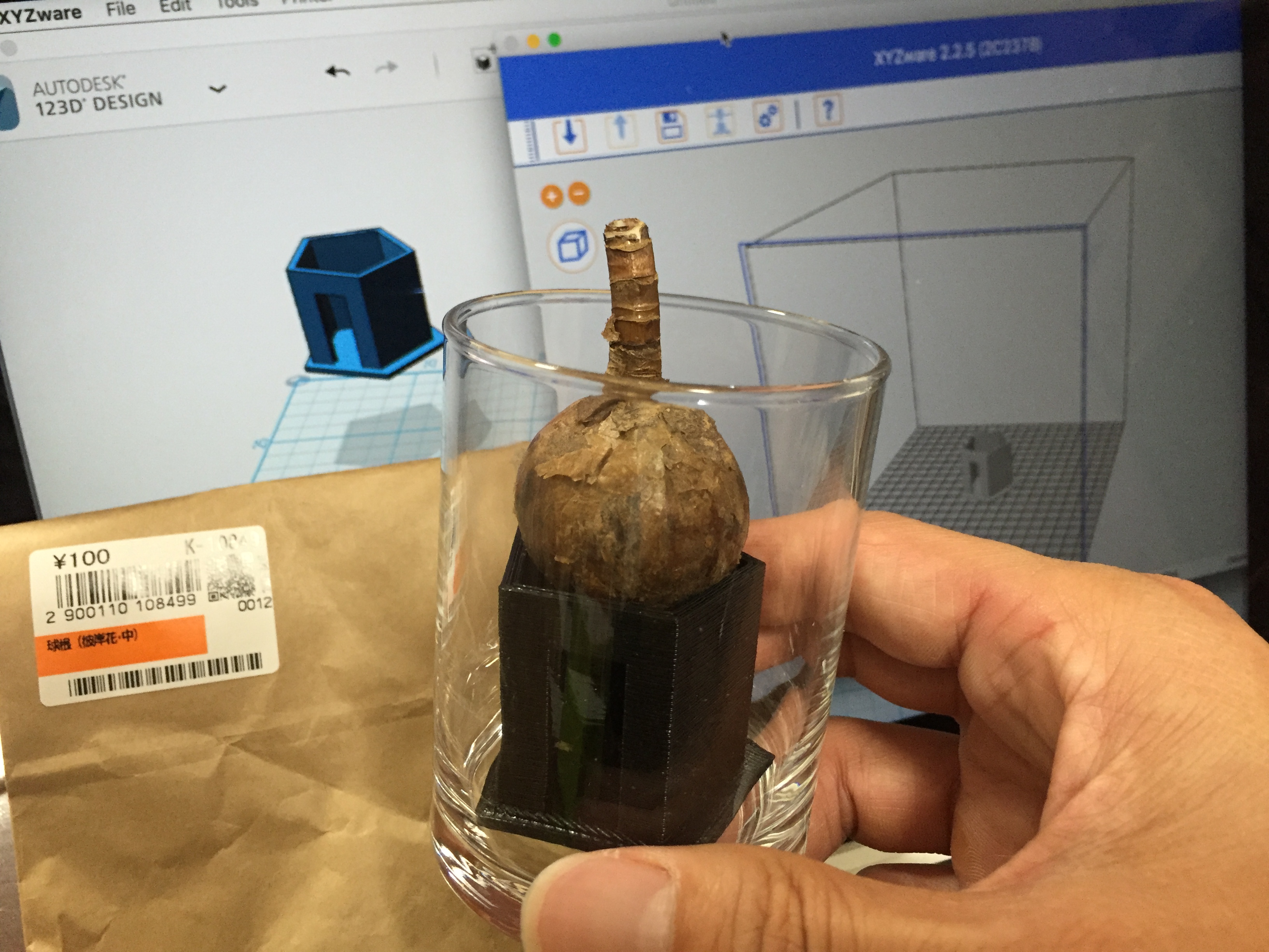 雌雄異株の植物:その概要と例 - 雌雄異株の植物とその特徴